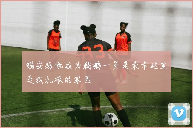 锡安感慨成为鹈鹕一员是荣幸这里是我扎根的家园