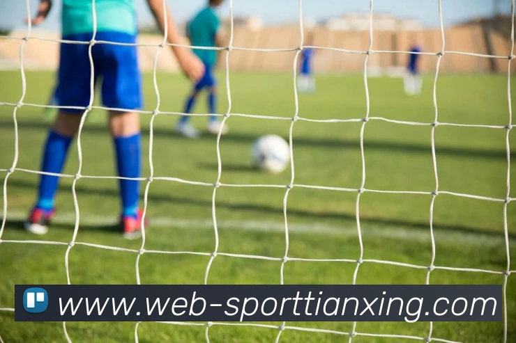 天行体育发展历程